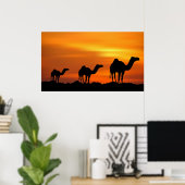 Poster Camels au coucher du soleil (Bureau à domicile)