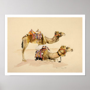 Poster Camels de Petra 2007