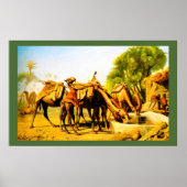 Poster Camels drinking at an oasis (Devant)