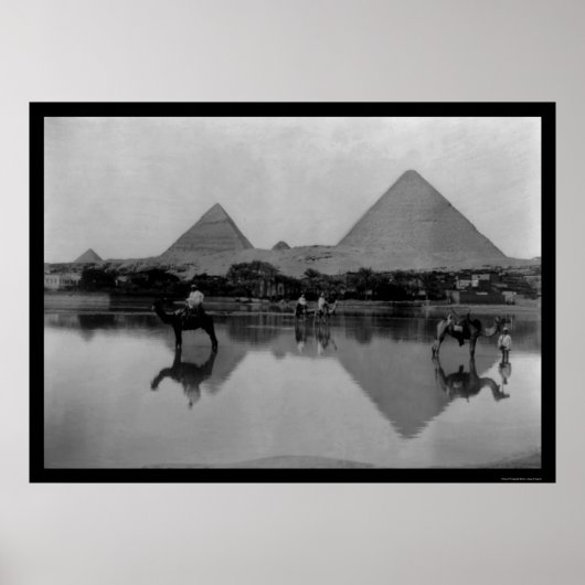 Poster Camels et Pyramides en Egypte 1899 (Devant)
