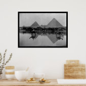 Poster Camels et Pyramides en Egypte 1899 (Cuisine)