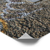 Poster Caméra Crayon Vs - Accueil (Coin)