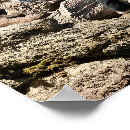 Poster Caméra Crayon Vs - Requin (Coin)