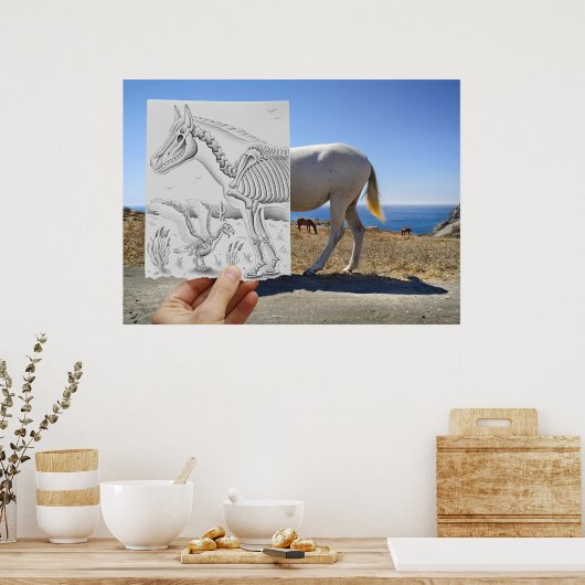 Poster Caméra Crayon - X-Ray (Cuisine)