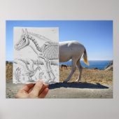 Poster Caméra Crayon - X-Ray (Devant)