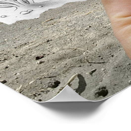 Poster Caméra Crayon - X-Ray (Coin)