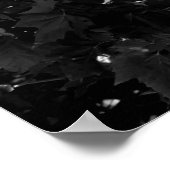 Poster Caméra de vitesse (Coin)