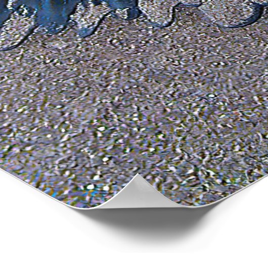 Poster Caméra Shy (Coin)