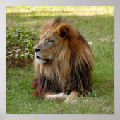 Poster Cameron 3 11x11 (Devant)