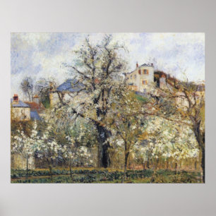 Poster Camille Pissarro - Orchard w/ Flowering Trees 1877