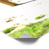 Poster Camion (Coin)