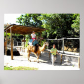 Poster Camion (Devant)