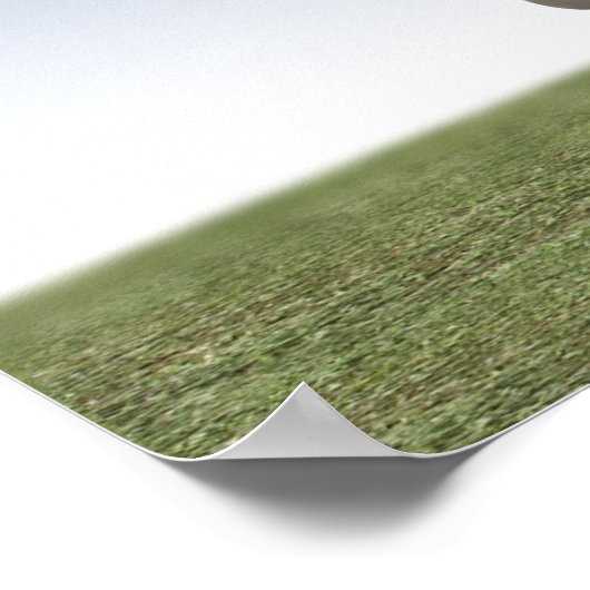 Poster Camion à glace (Coin)