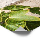 Poster Camion américain vintage (Coin)