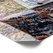 POSTER CAMION CHEVROLET 1946 (Coin)