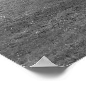 Poster Camion Chevy 3100 (Coin)