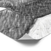 Poster Camion Chevy Croché (Coin)