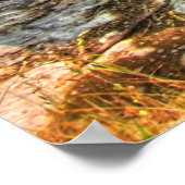 Poster Camion de Pa (Coin)