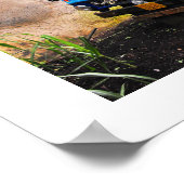 Poster Camion de sucre (Coin)
