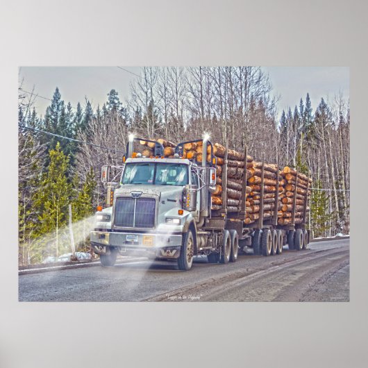 Poster Camion d'exploitation forestière blanc - Camion et (Devant)