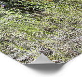 Poster Camion d'exploitation forestière - Burke Idaho Gho (Coin)