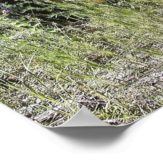 Poster Camion d'exploitation forestière - Burke Idaho Gho (Coin)