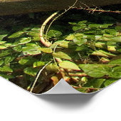 Poster Camion GMC (Coin)