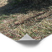 Poster CAMION INTERNATIONAL D'INCENDIE DE HARVESTER c. 19 (Coin)