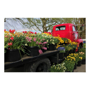 Poster Camion rouge avec fleurs de printemps et arc-en-ci