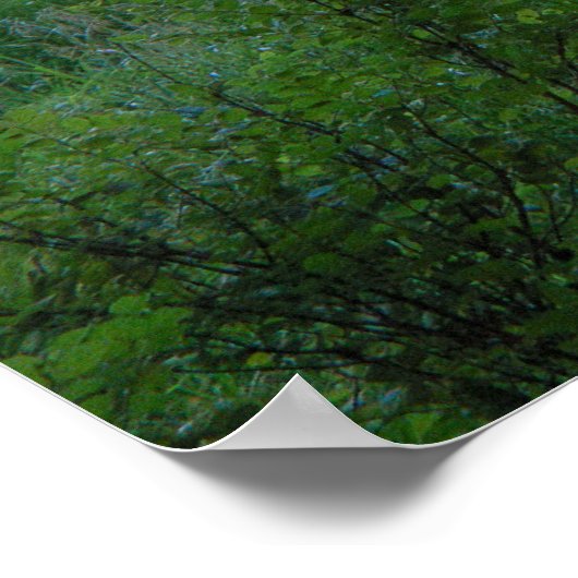 Poster Camion Sunset (Coin)