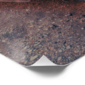 Poster camion vintage (Coin)