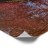 POSTER CAMIONS DE PLONGÉE COMMERCIALE (Coin)