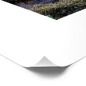 Poster Camions Mikeith (Coin)