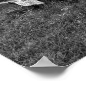 Poster Camions vintages (Coin)