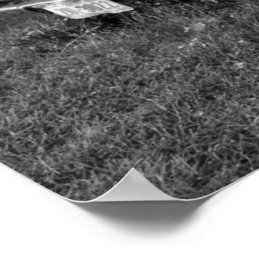 Poster Camions vintages (Coin)