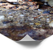 Poster Camoflouge Toad (Coin)