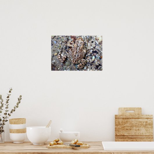 Poster Camoflouge Toad (Cuisine)