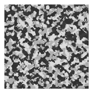 Poster camouflage