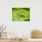 Poster Camouflage de cricket vert (Cuisine)