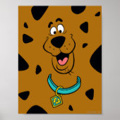 Poster Camouflage Scooby-Doo (Devant)
