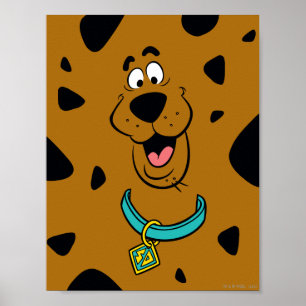 Poster Camouflage Scooby-Doo