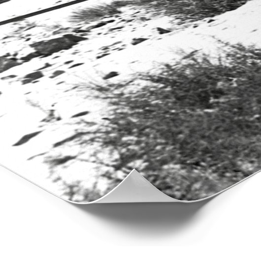 Poster CAMP D'EXPLOITATION D'OR CALIFORNIE EN HIVER c. 18 (Coin)