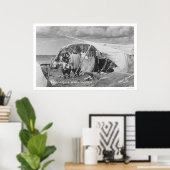 Poster Camp Eskimo Nome, Alaska Photo 1916 (Bureau à domicile)