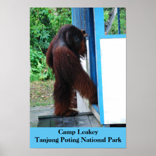 Poster Camp Leakey Tanjung mettant le parc national
