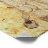 Poster Camp nomade mongol, XVe siècle (Coin)