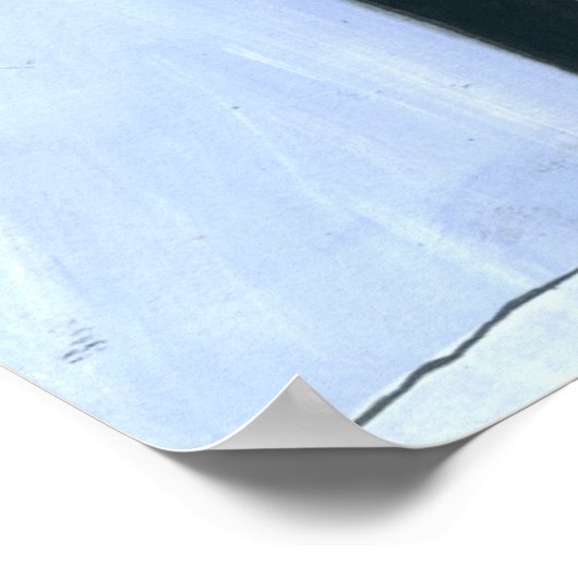 Poster Camp St. Light House (Coin)