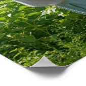 Poster Campagne Agricole Scarecrow (Coin)