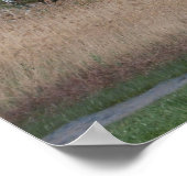 Poster Campagne hongroise (Coin)