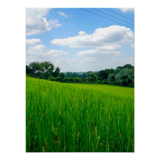 Poster Campagne magnifique (Devant)