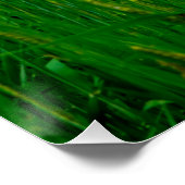 Poster Campagne magnifique (Coin)